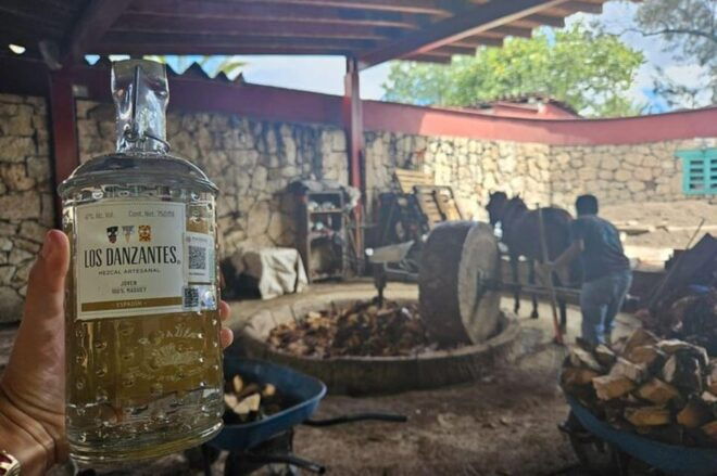 Oaxaca: Hierve El Agua, Mezcal Distillery, and Lunch Tour - Transportation and Pickup