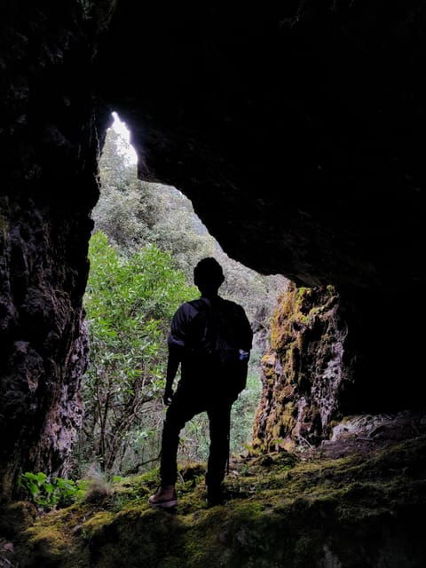 Oaxaca: Hiking in the Mushroom Forest of Cuajimoloyas - Important Information