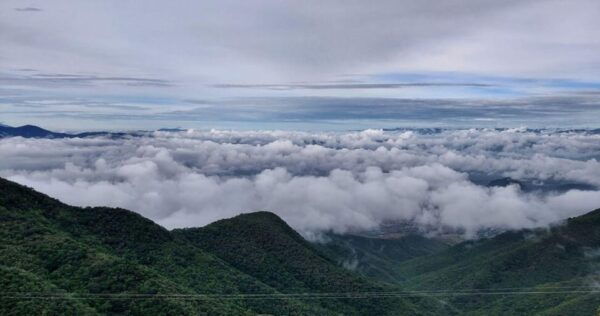Oaxaca: Hiking in the Mushroom Forest of Cuajimoloyas - Customer Reviews