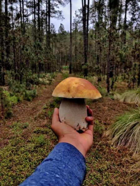 Oaxaca: Hiking in the Mushroom Forest of Cuajimoloyas - Getting to the Trailhead