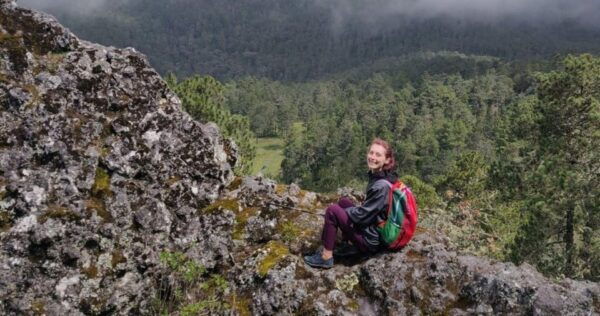 Oaxaca: Hiking in the Mushroom Forest of Cuajimoloyas - What to Expect on the Hike