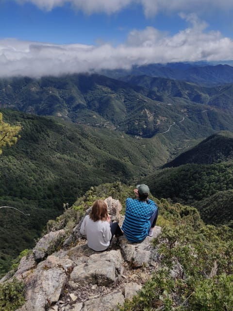 Oaxaca: Hiking in the Sierra Norte Forest - Inclusions