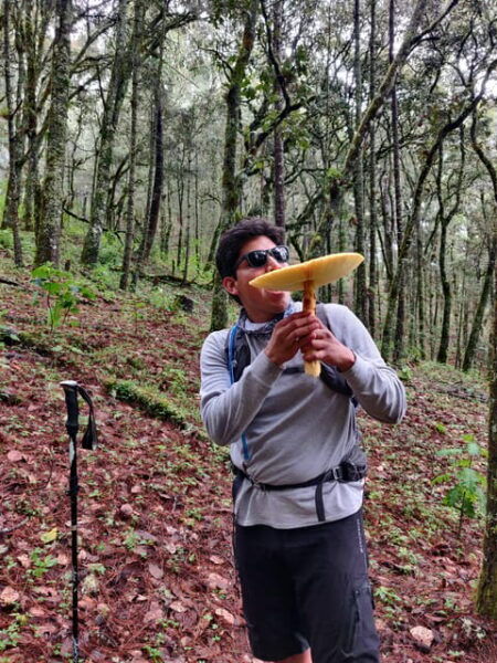 Oaxaca: Hiking in the Sierra Norte Forest - Fitness Requirements