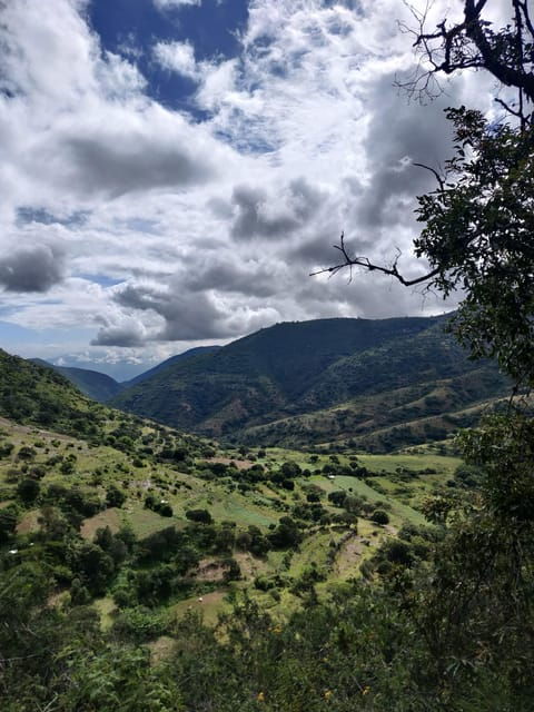 Oaxaca: Hiking the Hidden Apoala Waterfalls - Booking Information