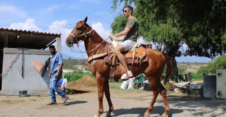 Oaxaca: Horseback Riding and Mezcal Tasting Tour - Itinerary Highlights