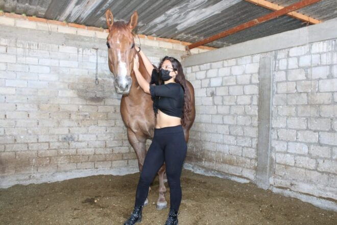 Oaxaca: Horseback Riding and Mezcal Tasting Tour - Customer Reviews
