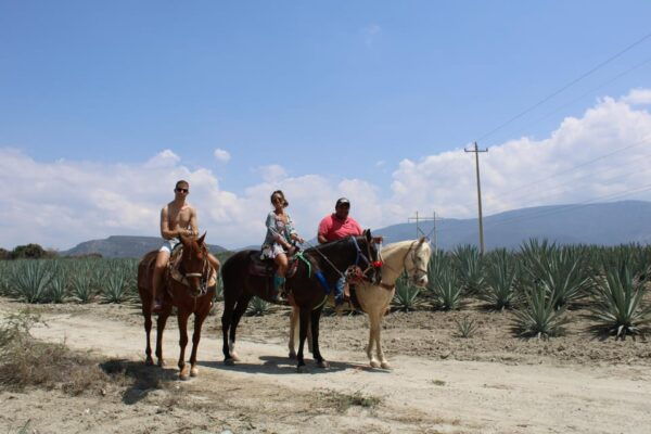 Oaxaca: Horseback Riding and Mezcal Tasting Tour - Ride Through Agave Fields