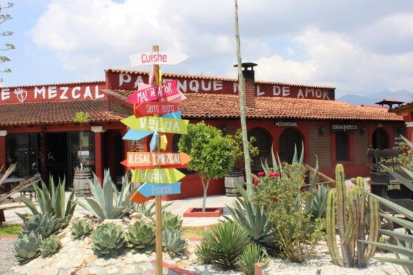 Oaxaca: Horseback Riding and Mezcal Tasting Tour - Mezcal Distillery Visit