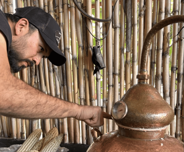 Oaxaca: Immersive Mezcal Workshop and Distillation - Agave Selection and Varieties