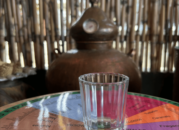 Oaxaca: Immersive Mezcal Workshop and Distillation - History and Significance of Mezcal