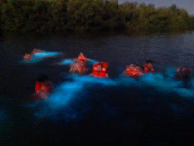 Oaxaca: Manialtepec Lagoon Bioluminescence Afternoon Tour - Sunset at Playa Puerto Suelo