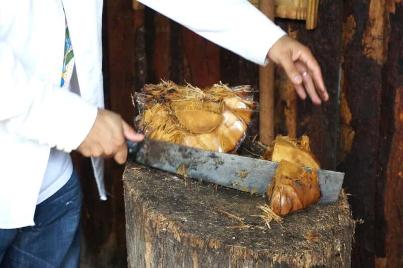 Oaxaca: Mezcal Tasting & Barrel Ride - A detailed look at what this tour involves