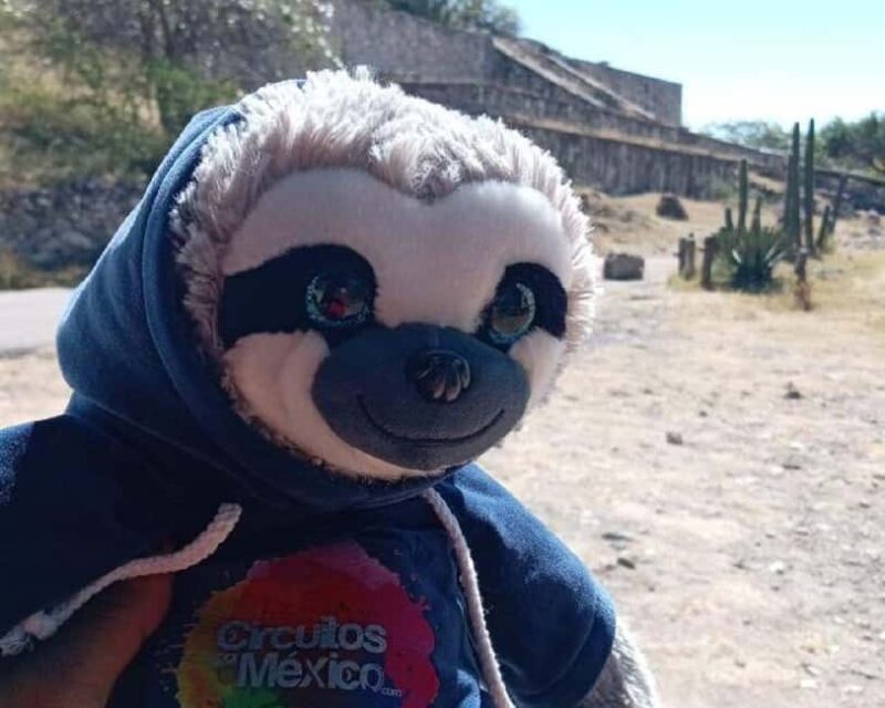 Oaxaca: Mezcal Tasting & Barrel Ride - The Sum Up