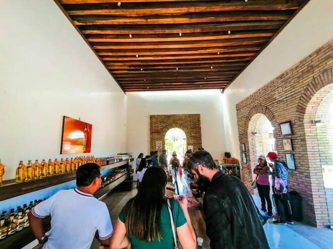 Oaxaca - Mezcal Voices Barrilbusos - Mezcal Production Insights