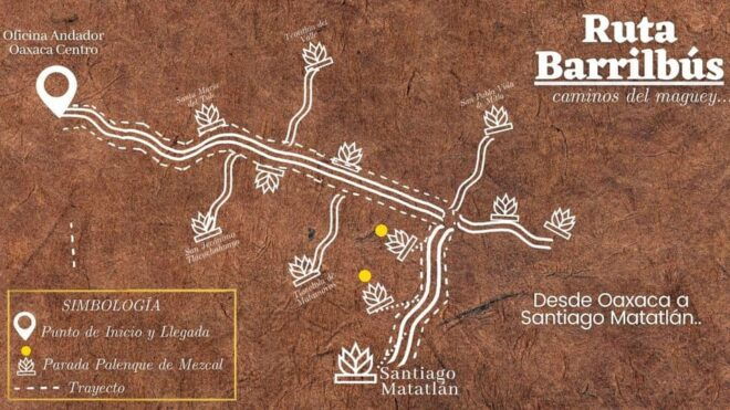 Oaxaca - Mezcal Voices Barrilbusos - Maguey Field Exploration