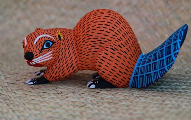 Oaxaca - Monte Alban, Alebrijes, Cuilapan & San Bartolo - Customer Reviews