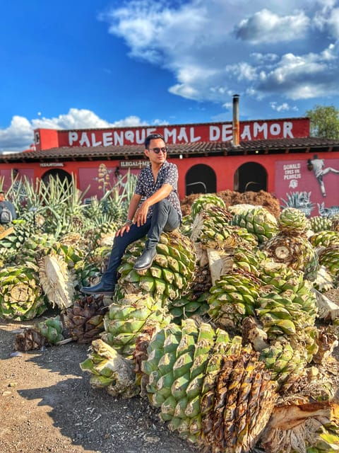 Oaxaca: Monte Albán, Hierve El Agua, Mezcal, and Teotitlán - Artisanal Mezcal Distillery