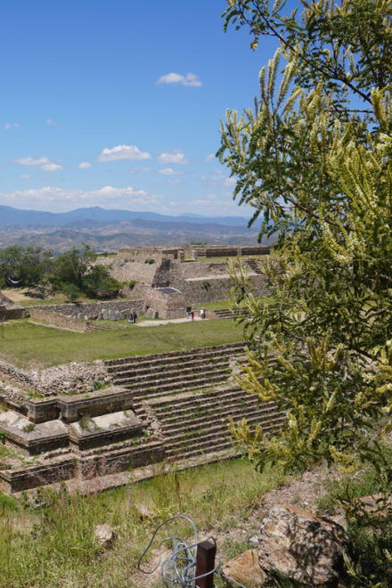 Oaxaca: Oaxacan Roots (Monte Alban) - Oaxacan Cuisine Experience