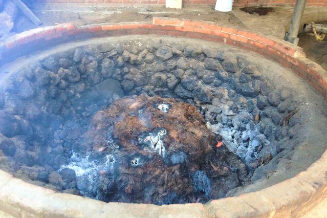 Oaxaca Private Gastronomic and Mezcal Experience  - Oaxaca City - Booking and Pricing Details