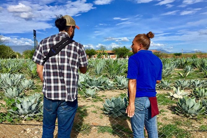 Oaxaca Private Gastronomic and Mezcal Experience  - Oaxaca City - The Sum Up
