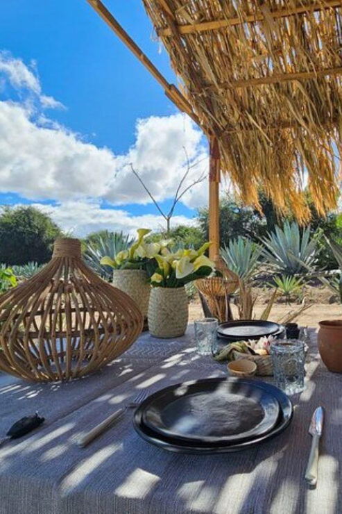 Oaxaca: Private Lunch in Maguey Fields With Mezcal Tasting - Overview of the Experience