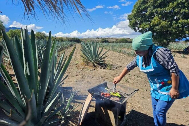 Oaxaca: Private Lunch in Maguey Fields With Mezcal Tasting - Learning About Mezcal Production