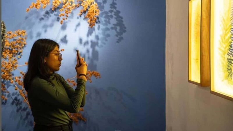 Oaxaca Renowned Art Galleries and Traditions in Private Tour - Good To Know