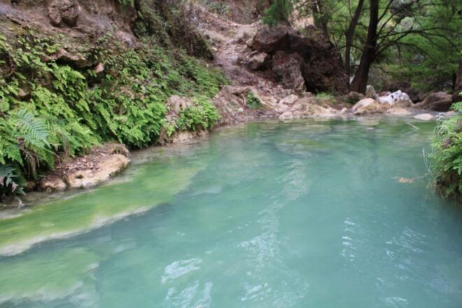 Oaxaca: Santiago Apoala Waterfall Day Trip With Transfers - Inclusions and Exclusions