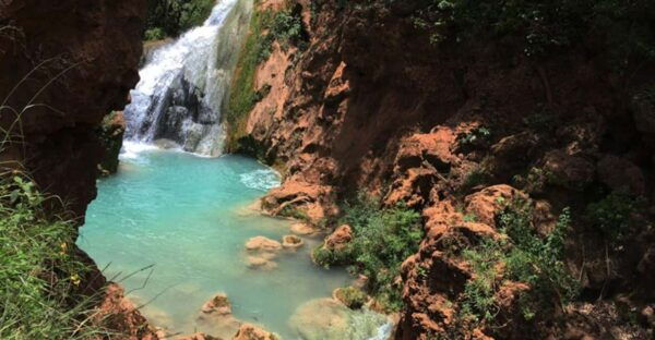 Oaxaca: Santiago Apoala Waterfall Day Trip With Transfers - Transportation and Pickup