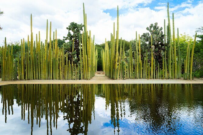 Oaxaca Scavenger Hunt and Sights Self Guided Tour - Final Thoughts: Who Will Love This Tour?