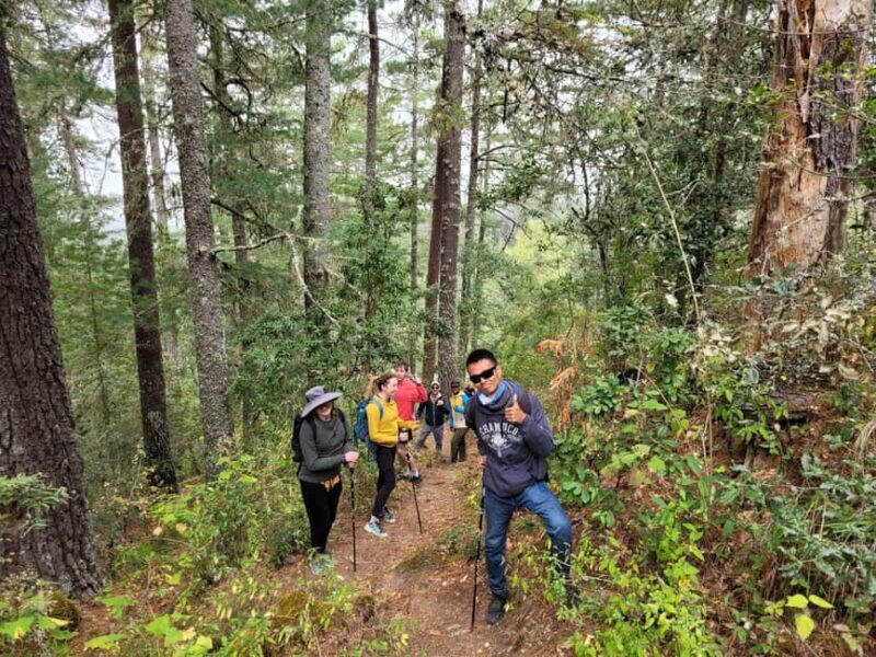 Oaxaca: Sierra Norte Ixtepeji Guided Hike & Lunch, Half-Day - Why This Tour Offers Great Value  