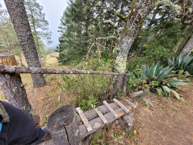 Oaxaca: Sierra Norte Ixtepeji Guided Hike & Lunch, Half-Day - FAQ