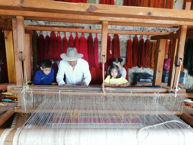 Oaxaca: Sierra Norte Tour With Zipline and Hanging Bridge - Inclusions