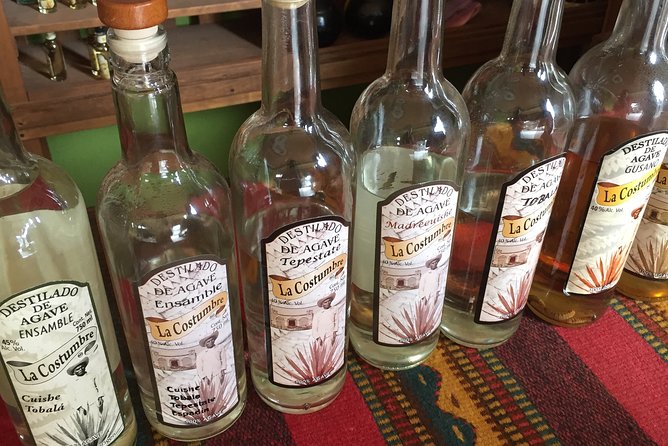Oaxaca Small-Group Full-Day Mezcal Tour  - Oaxaca City - Tour Details and Highlights