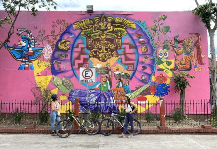 Oaxaca: Street Art Bike Tour - Booking Information