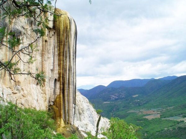 Oaxaca: the Snake - Hierve El Agua 1 Day Tour. - Pickup and Tule Tree