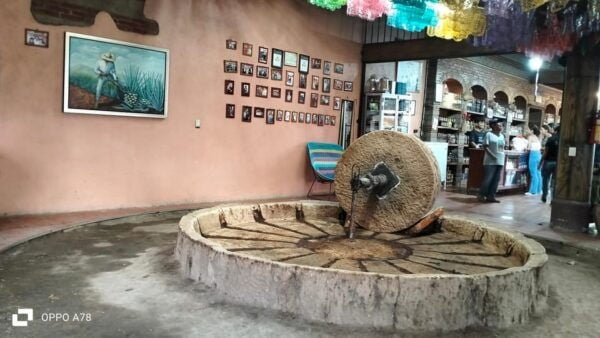 Oaxaca: the Snake - Hierve El Agua 1 Day Tour. - Tapestry Gallery and Bike Tour
