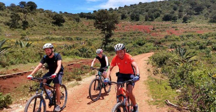 Oaxaca: The Snake - Las Salinas 1 Day Bike Tour - Good To Know