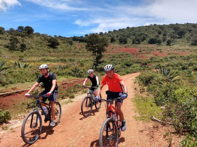 Oaxaca: The Snake - Las Salinas 1 Day Bike Tour - Exploring Mezcal Distilleries