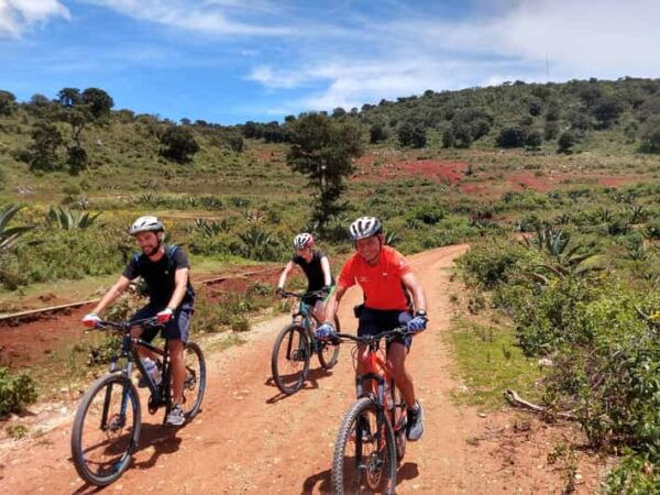 Oaxaca: The Snake - Las Salinas 1 Day Bike Tour - Exploring Mezcal Distilleries