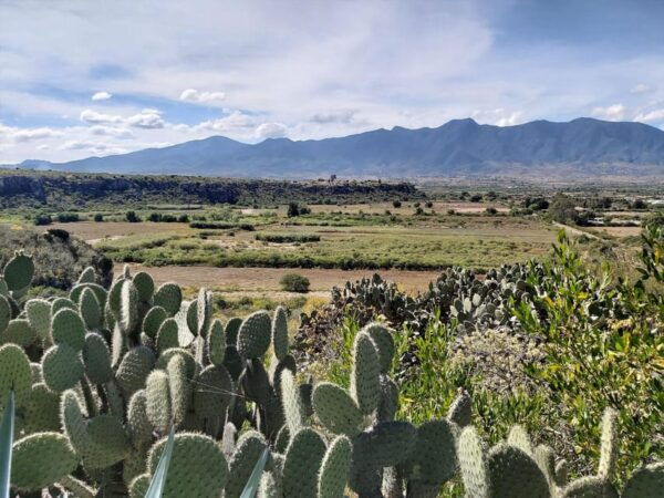 Oaxaca: The Snake - Prehistoric Caves 1 Day Bike Tour - Frequently Asked Questions