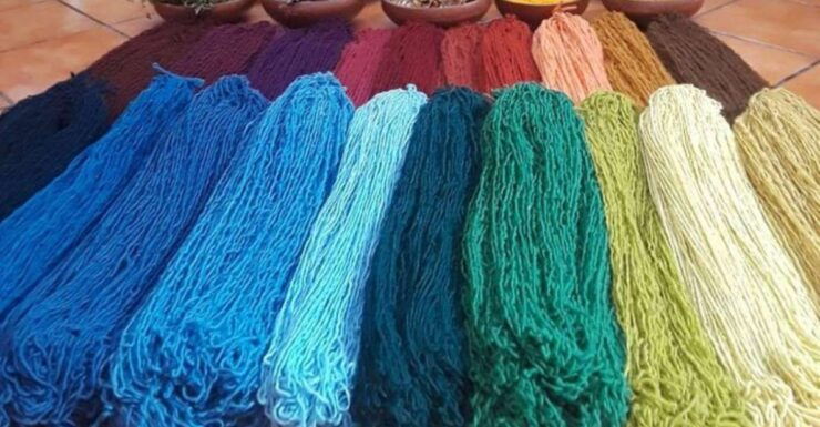 Oaxaca: Traditional Market Private Tour - Full-Day Tour Description