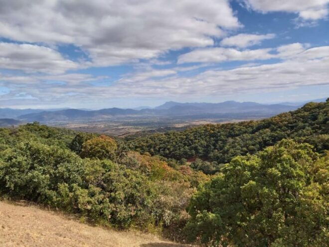 Oaxaca: Valley Mountains and Jalapilla Half Day Tour - Pickup and Languages