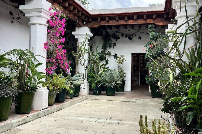 Oaxaca Walking Tour - The Walking Experience: Practical Aspects