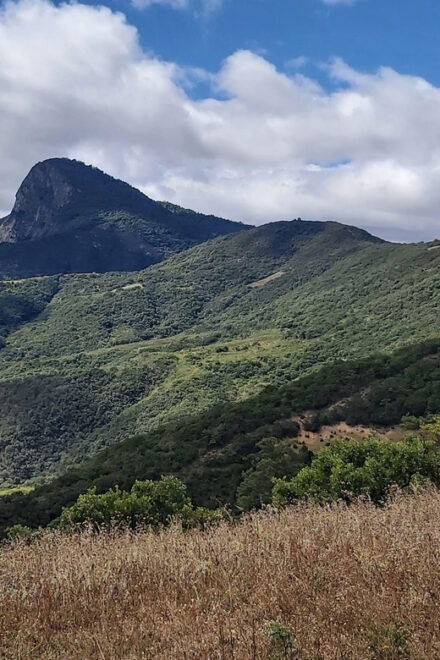 Oaxaca: Xaaga-Hierve El Agua 1 Day Hiking Tour - Inclusions