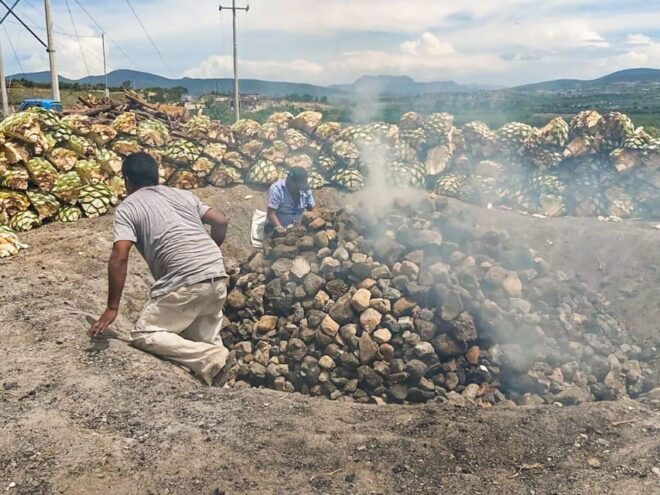 Oaxaca: Zapotec Roots, Mezcal and Textiles Tour - Mezcal Tasting and Flavors