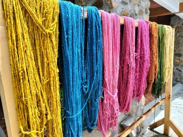 Oaxaca: Zapotec Roots, Mezcal and Textiles Tour - Tour Inclusions and Transportation