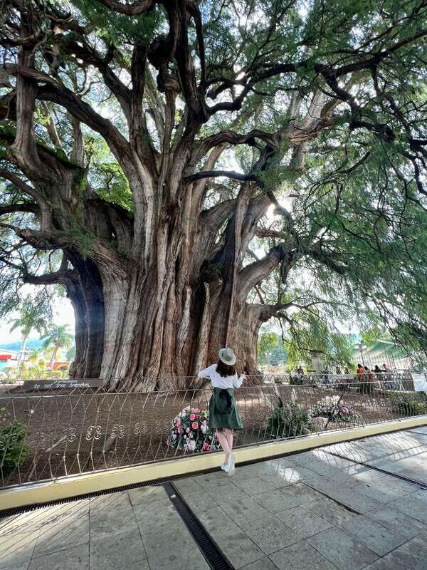 Oaxacan Journey - Final Thoughts