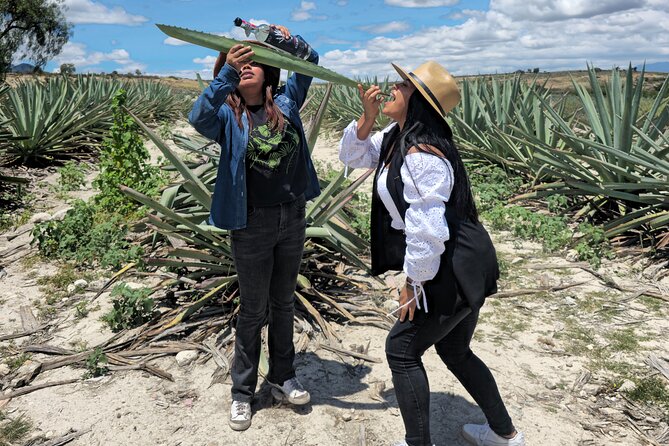Oaxacan Mezcal Tour - Traveler Tips