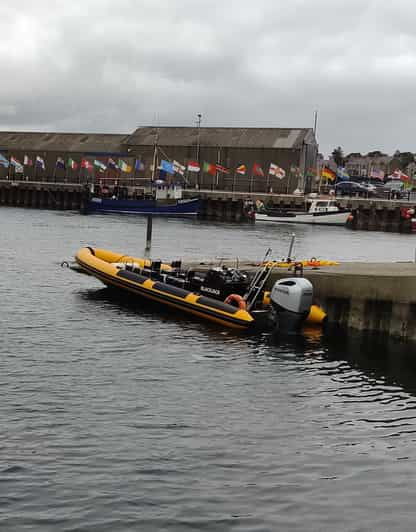 Oban: Historical and Wildlife Boat Cruise - Scenic Landmarks